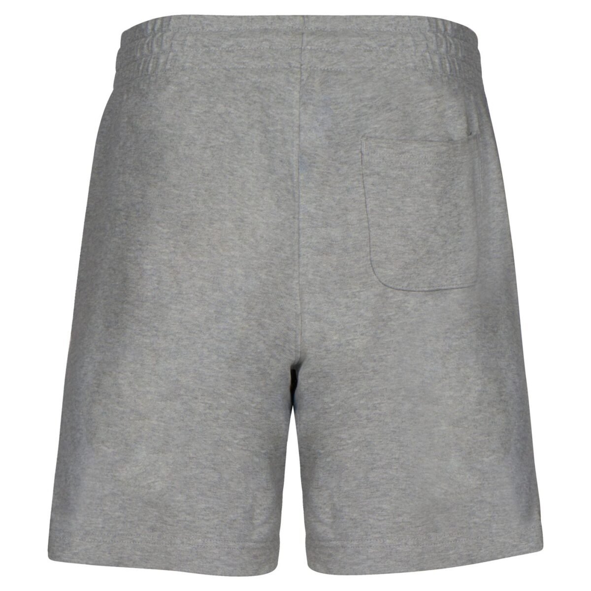 FWS4 Shorts — Grey — view 2